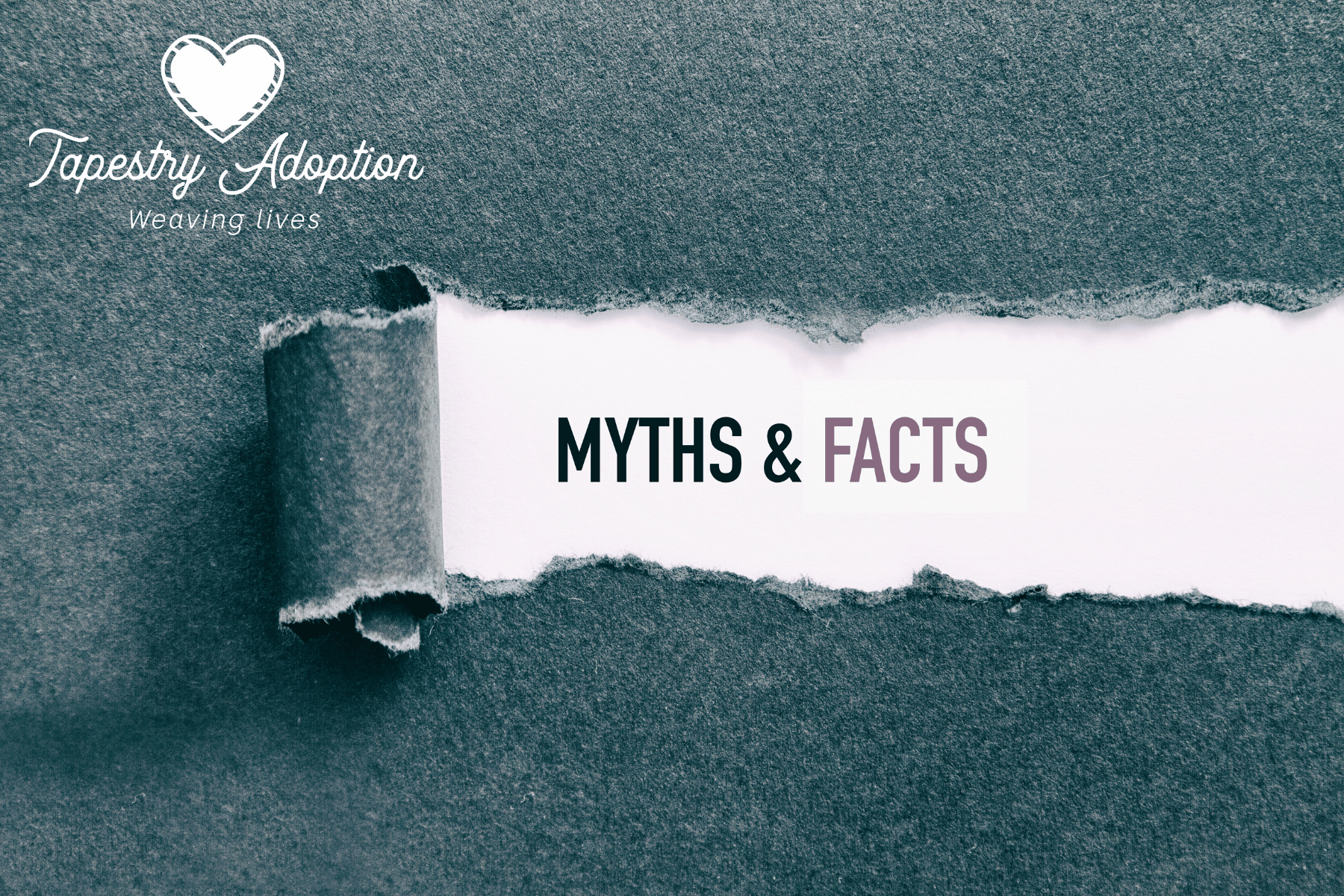 Adoption Myths Debunked: Separating Fact from Fiction