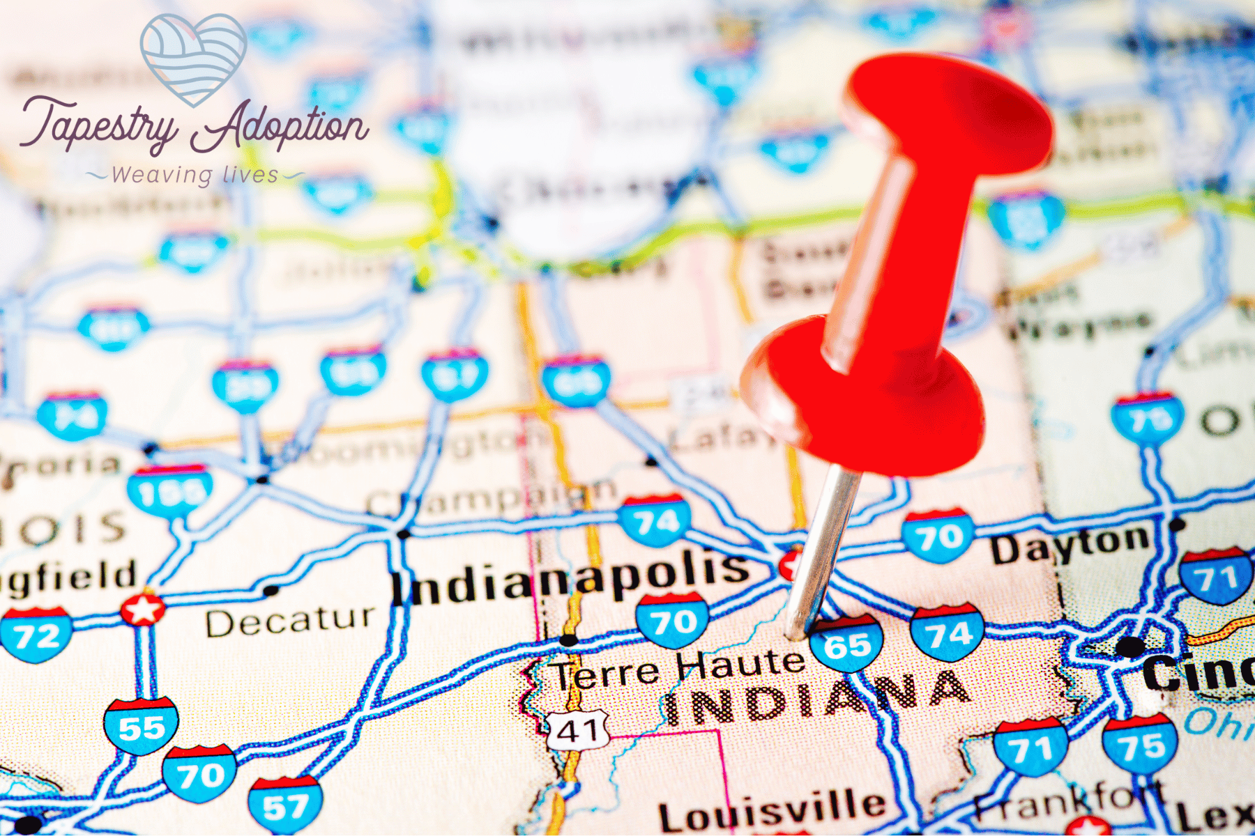 Finding the Best Local Adoption Agency in Indiana